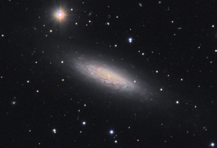 NGC6503